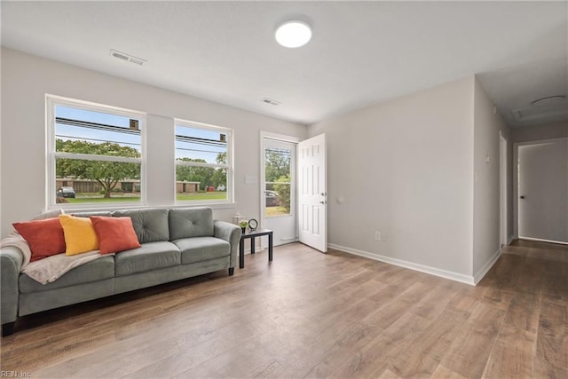 living room with wood-type flooring