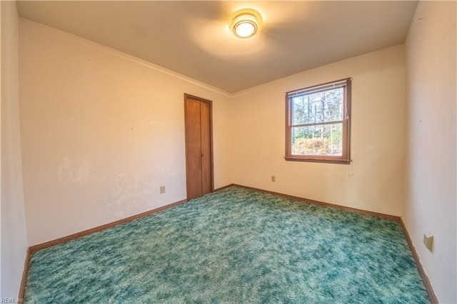 spare room with carpet floors