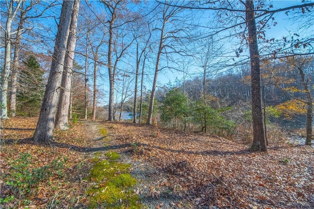 view of local wilderness