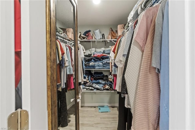 spacious closet featuring hardwood / wood-style floors