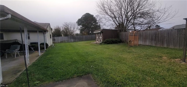 view of yard with a storage unit