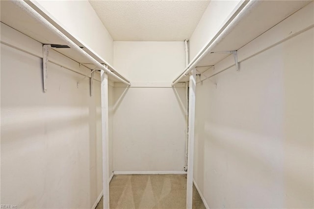 spacious closet with light colored carpet