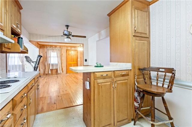 kitchen featuring a kitchen breakfast bar, white electric cooktop, ceiling fan, and light hardwood / wood-style flooring