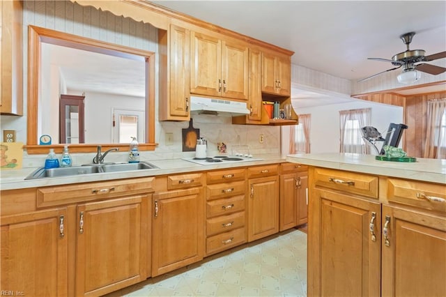 kitchen with decorative backsplash, white electric stovetop, ceiling fan, and sink