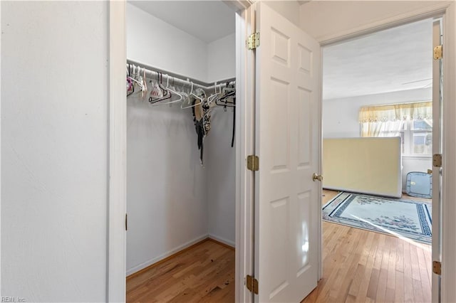 walk in closet with hardwood / wood-style flooring