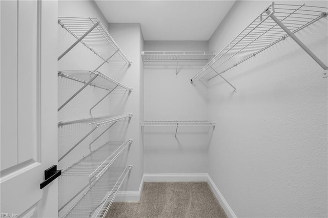 walk in closet with carpet flooring