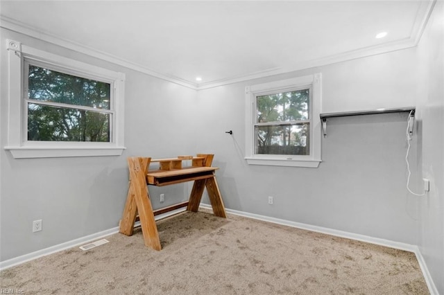 home office featuring crown molding and carpet