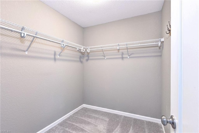 spacious closet with carpet flooring