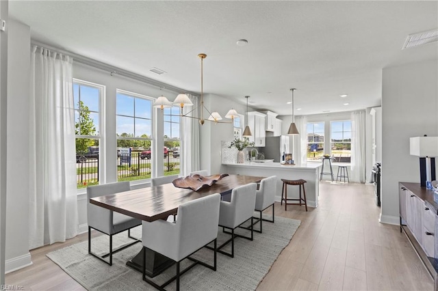 dining room featuring a healthy amount of sunlight and light hardwood / wood-style flooring