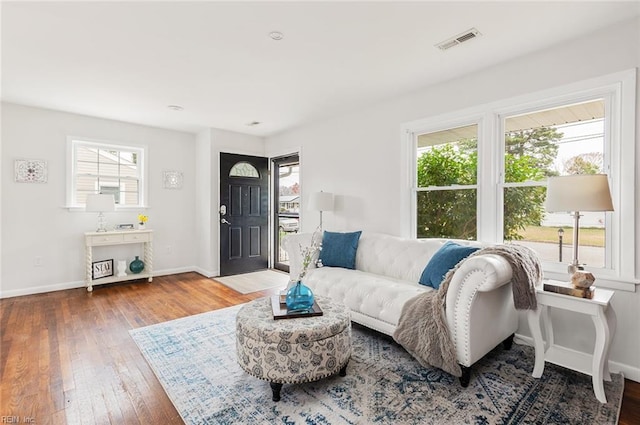 living room featuring hardwood / wood-style floors