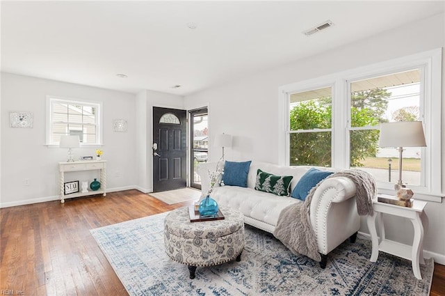 living room with hardwood / wood-style flooring