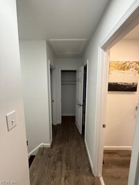 hall featuring dark hardwood / wood-style floors