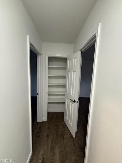 spacious closet featuring dark hardwood / wood-style floors