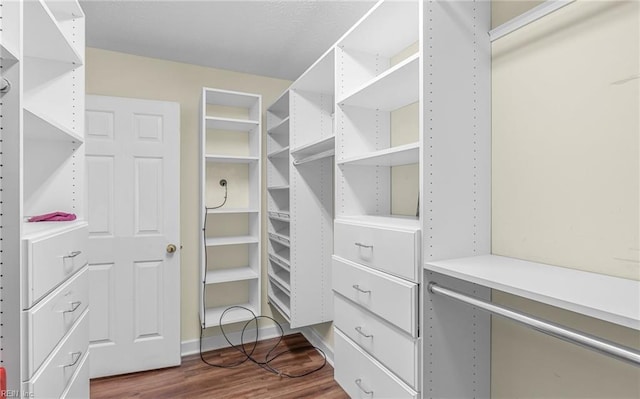 walk in closet featuring dark hardwood / wood-style floors