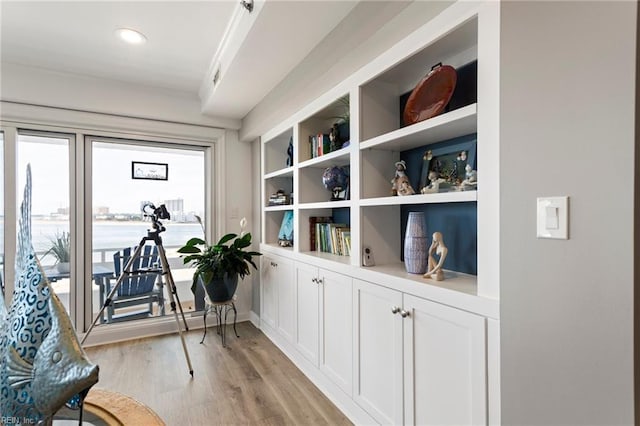 interior space featuring light hardwood / wood-style floors