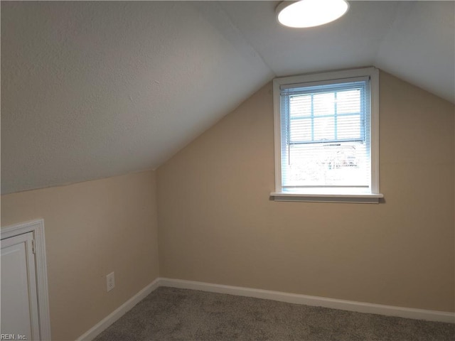 additional living space featuring a textured ceiling, carpet, and lofted ceiling