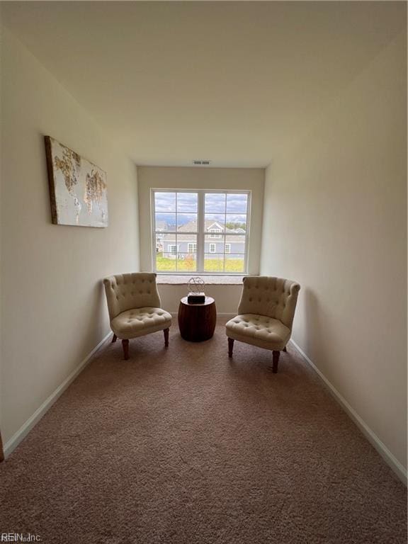 sitting room featuring carpet