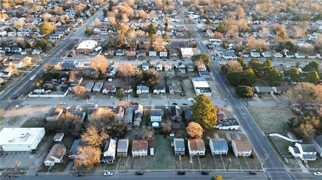 bird's eye view