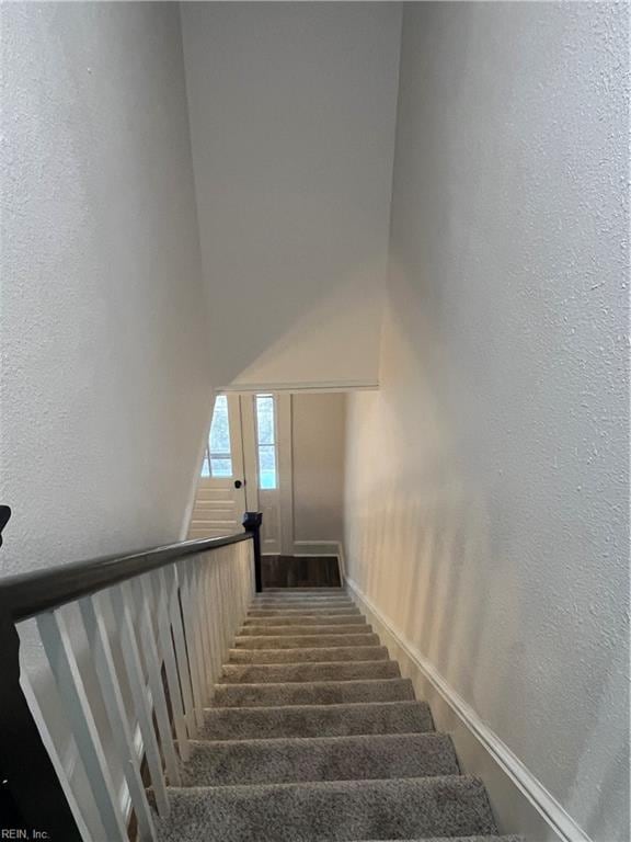 stairs with carpet floors