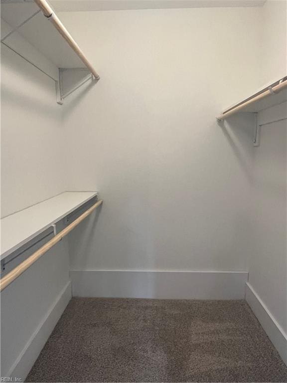 spacious closet with carpet flooring