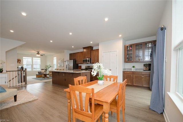 dining space with ceiling fan and light wood-type flooring