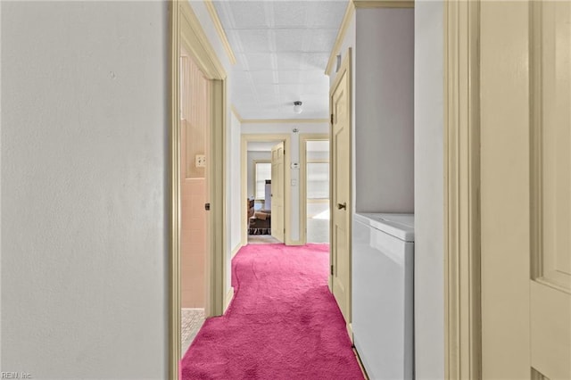 hallway featuring light colored carpet and washing machine and dryer