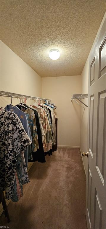 spacious closet with carpet flooring