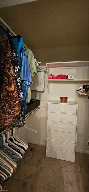 spacious closet featuring carpet floors