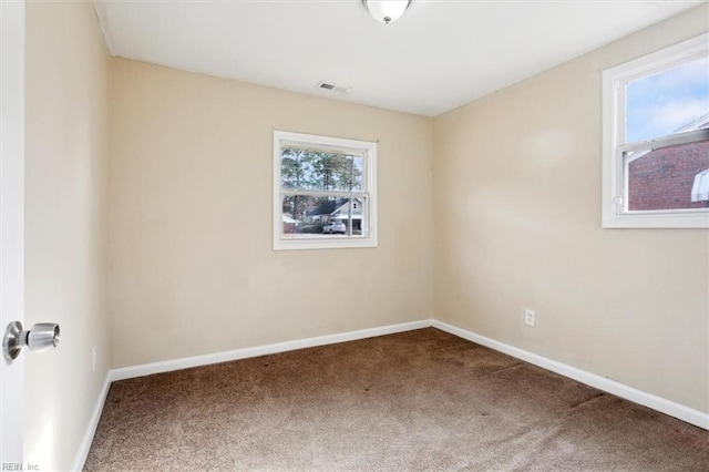 spare room with a wealth of natural light and carpet