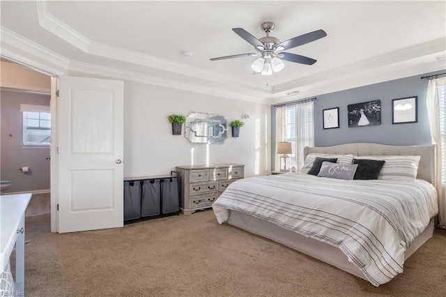 carpeted bedroom with a raised ceiling, ceiling fan, and crown molding