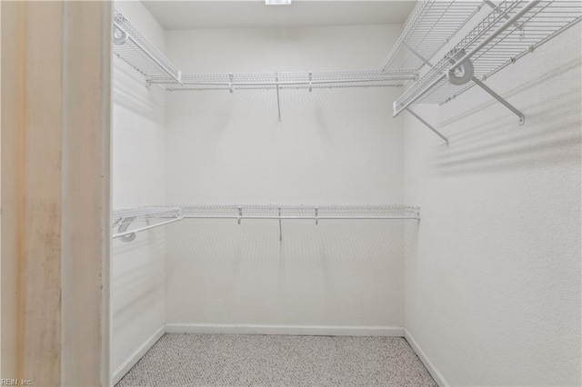 spacious closet with carpet flooring