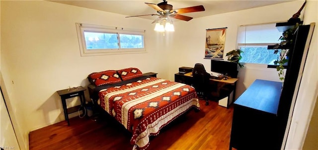 bedroom featuring dark hardwood / wood-style floors, multiple windows, and ceiling fan