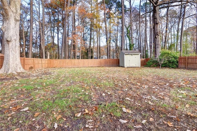 view of yard with a shed