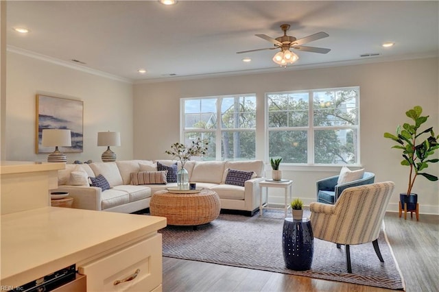 living room with plenty of natural light, ceiling fan, wood-type flooring, and crown molding