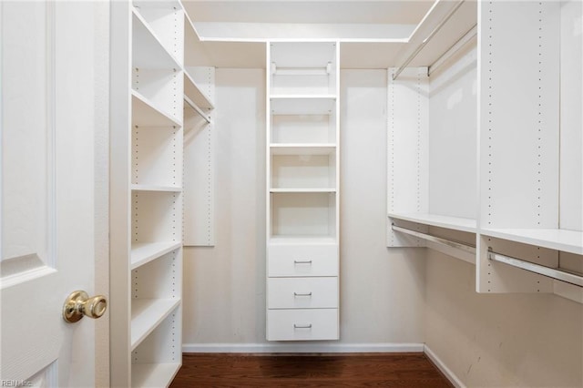 walk in closet with dark wood-type flooring