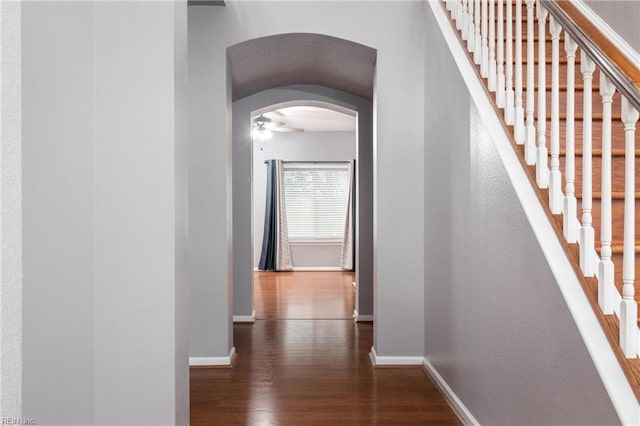 hallway with dark hardwood / wood-style flooring