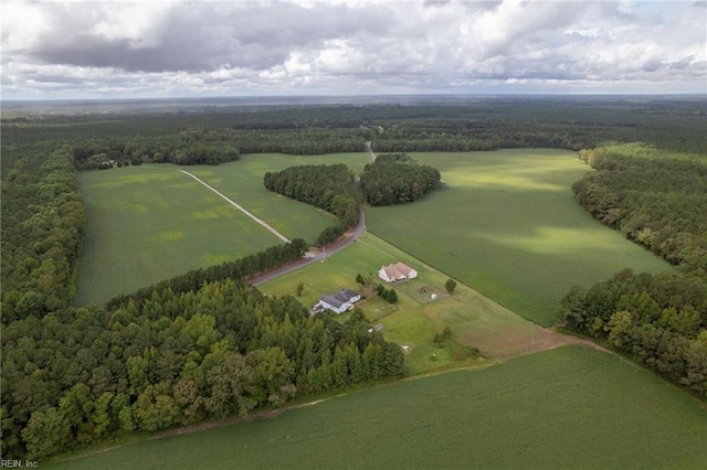 bird's eye view