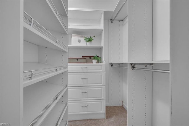 walk in closet featuring light carpet