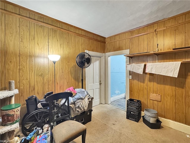 miscellaneous room with wood walls and light carpet