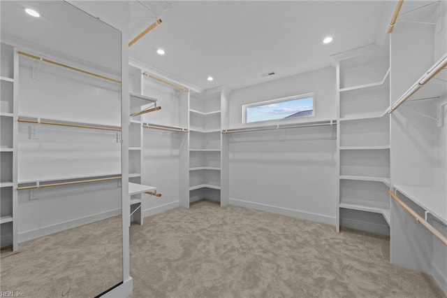 spacious closet with light carpet