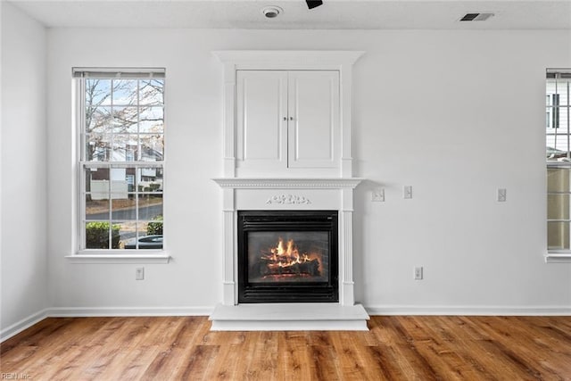 room details featuring a fireplace and hardwood / wood-style floors