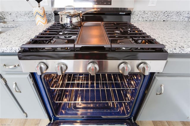 details with light stone counters and stainless steel range