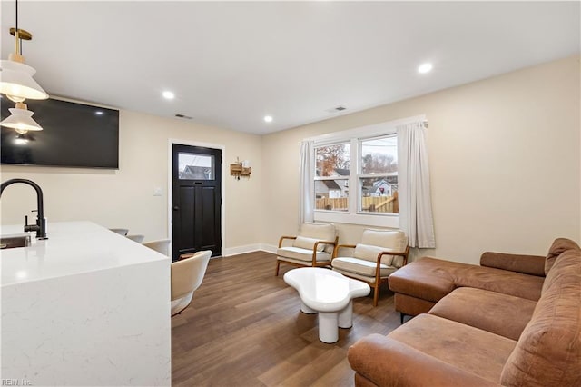 living room with dark hardwood / wood-style flooring and sink