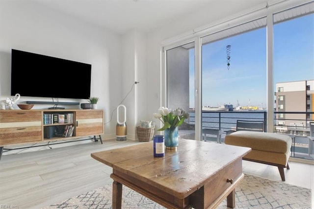 living room with a water view and light wood-type flooring