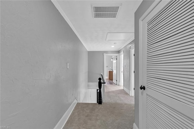 corridor with ornamental molding and light colored carpet