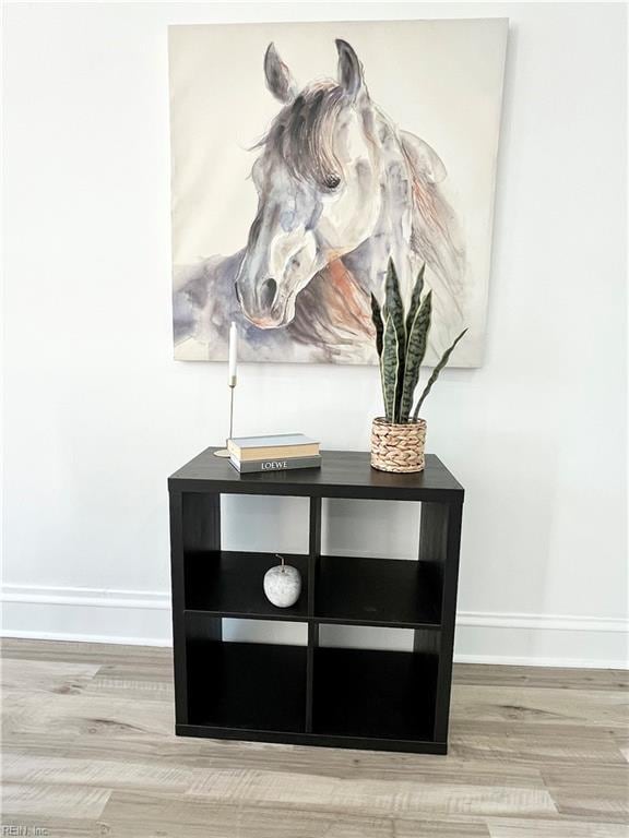 room details with hardwood / wood-style floors