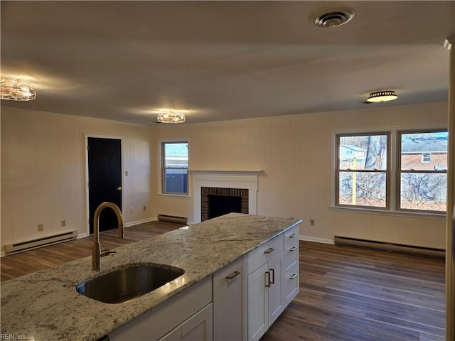 kitchen featuring baseboard heating, sink, and dark hardwood / wood-style floors