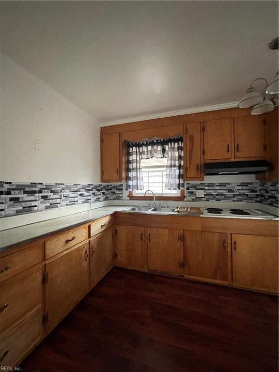 kitchen featuring tasteful backsplash, sink, dark wood-type flooring, and white stovetop