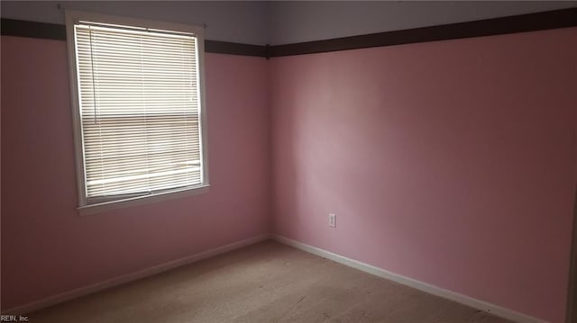 unfurnished room featuring light carpet and a healthy amount of sunlight