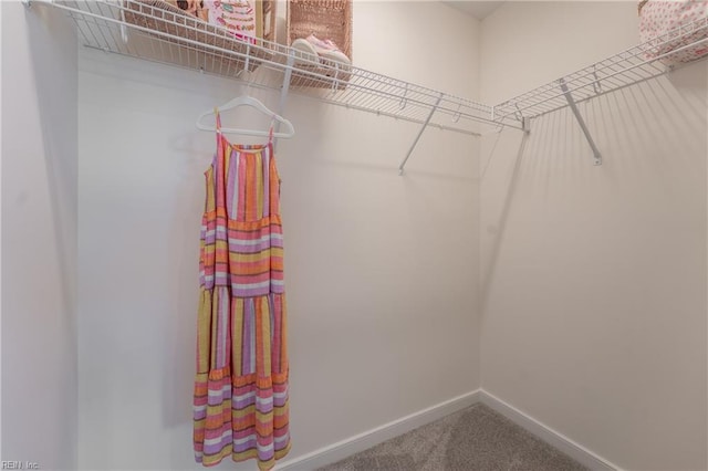 walk in closet with carpet flooring